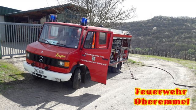 Flaechenbrand_Wiltingen_31_03_17 (2)